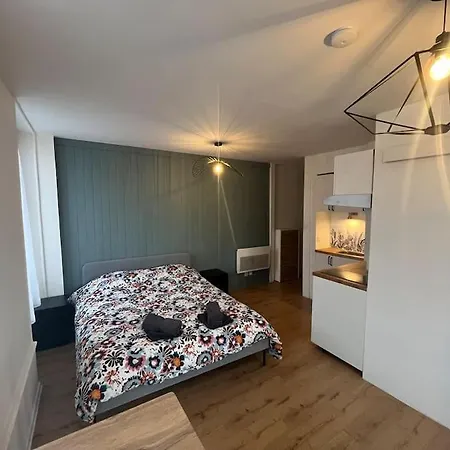 Apartman De Charme Dans Le Historique Du Grand *