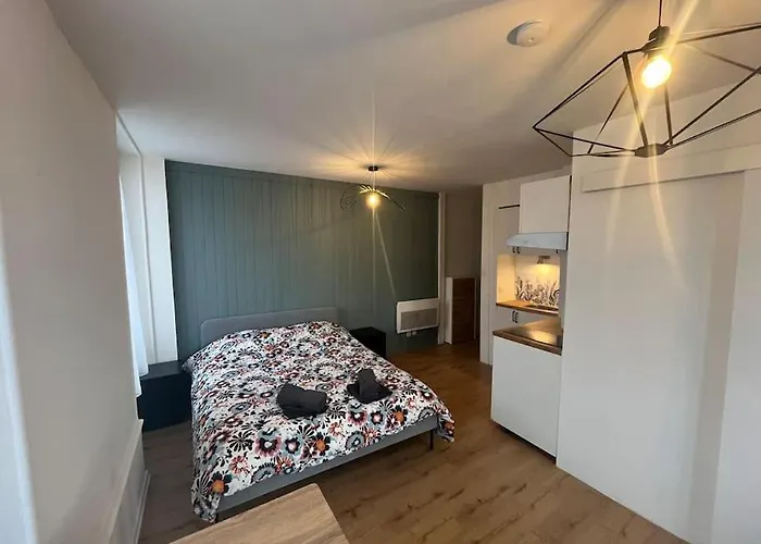 Apartman De Charme Dans Le Historique Du Grand *